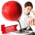 4 Best Desktop Punching Bags for Stress Relief & Speed Training in 2022