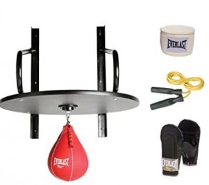 Everlast speed bag kit with platform and gloves and wraps