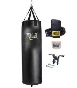 everlast punching bag and gloves