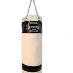 Best Home Gym Punching Bags Reviews and Guide in 2022