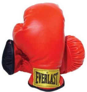 everlast small boxing gloves