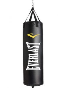 Everlast 40 pounds synthetic leather boxing bag under 100